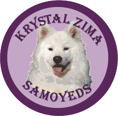 Home - Krystal Zima Samoyeds